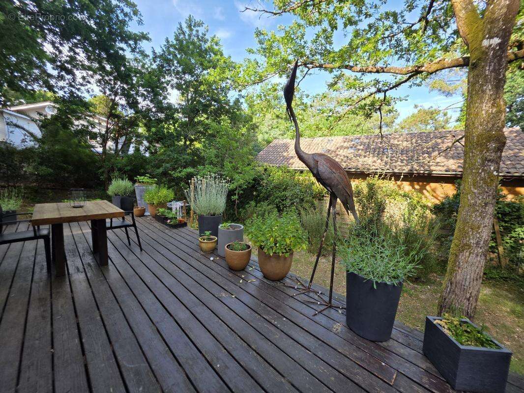 Maison 88 m² à Biscarrosse  - photo 3
