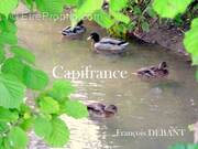 Terrain à BETHENIVILLE