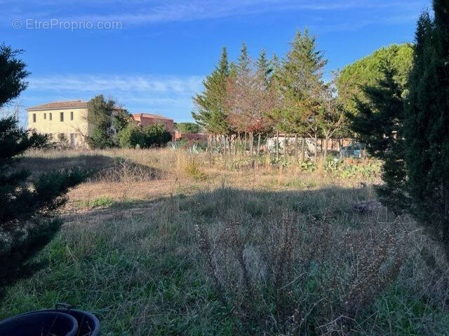 Terrain à MARSEILLAN