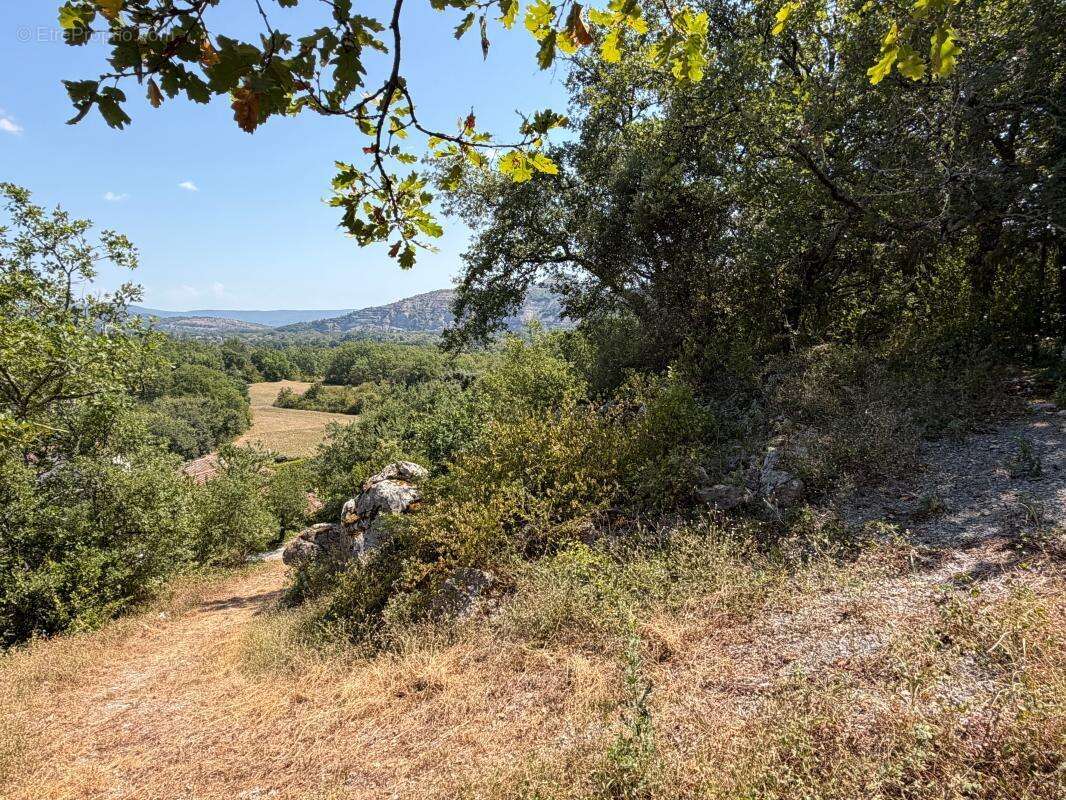 Terrain À Vendre 1500 m² - photo 8