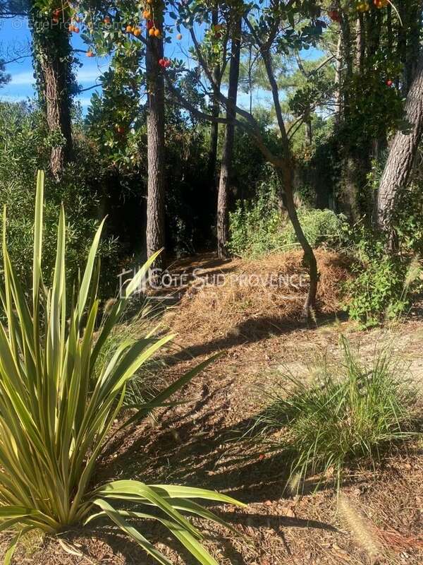 Maison à LEGE-CAP-FERRET