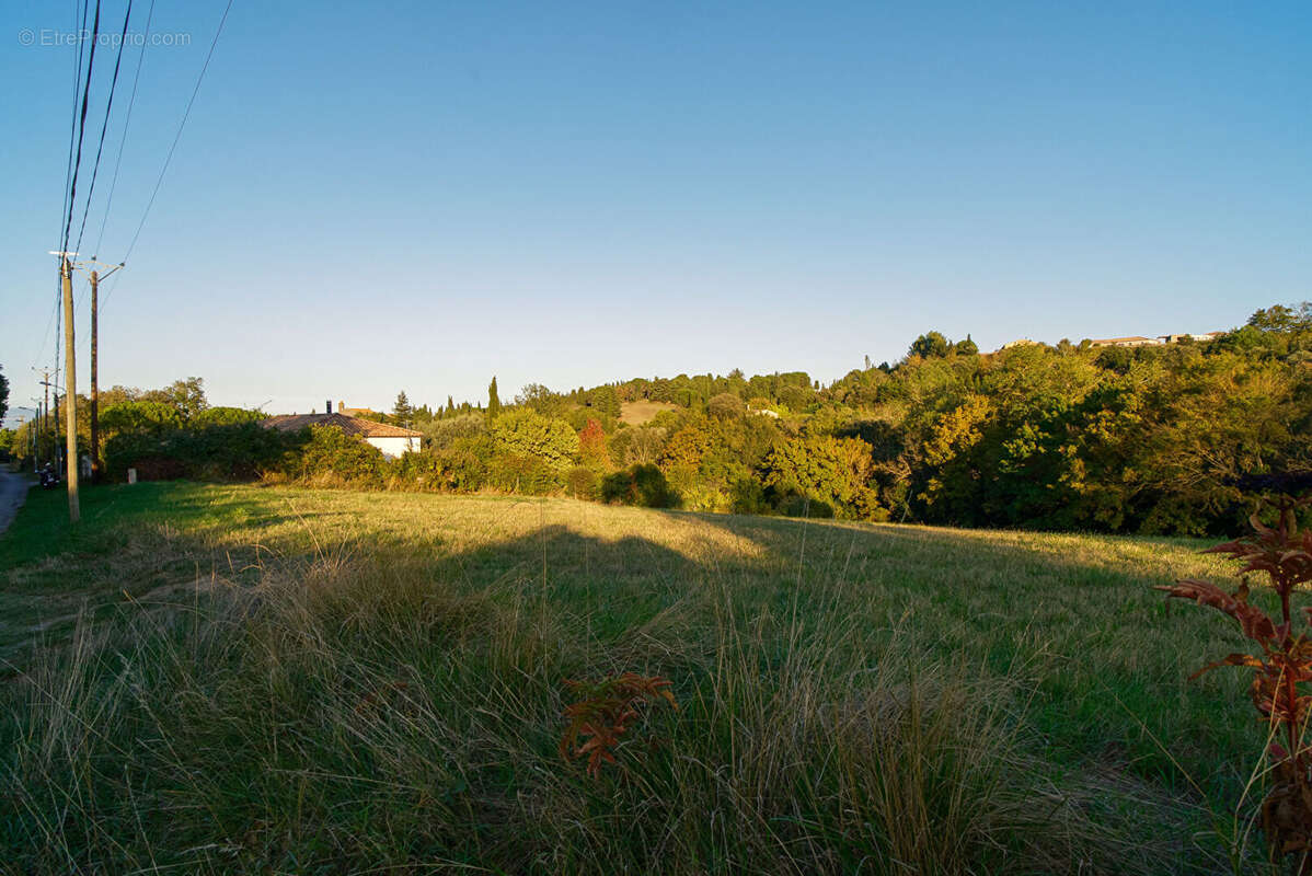 Terrain à ALAIRAC