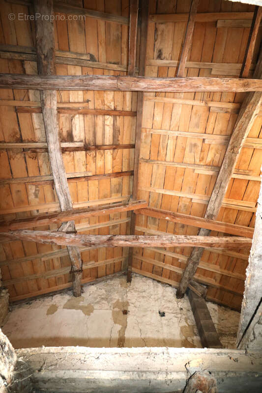 Maison à SAINT-SAVINIEN