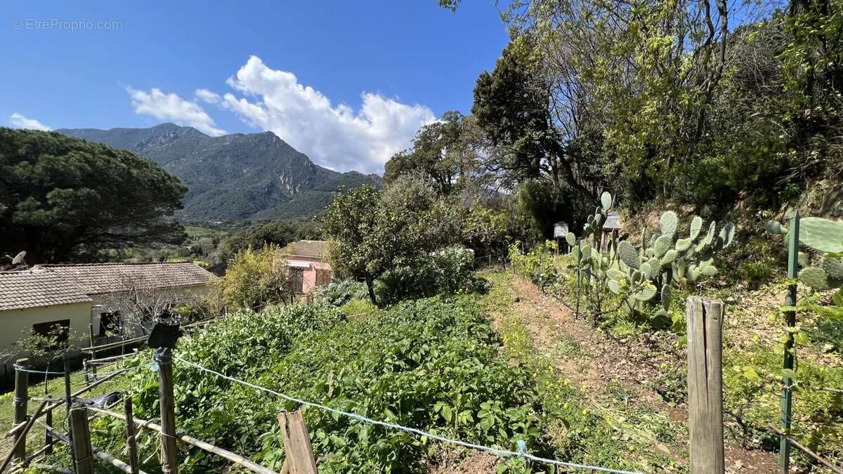 Appartement à SAN-NICOLAO