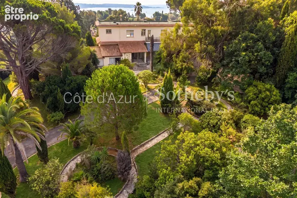 Super Cannes, terrain de 6 071 m² avec permis purgé pour deux villas vue mer - photo 7
