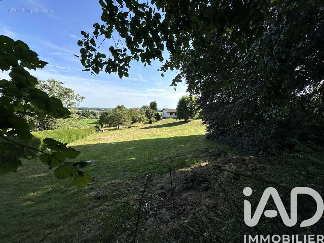 Photo 1 - Terrain à FERRETTE