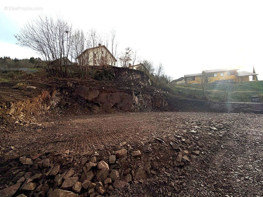 Terrain à RUPT-SUR-MOSELLE