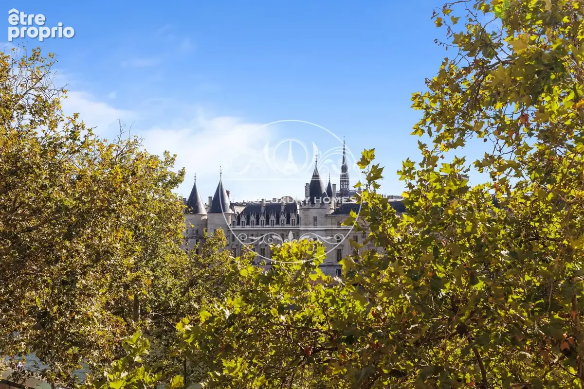 Bien d'exception avec vue sur la Seine et monuments ! - photo 9