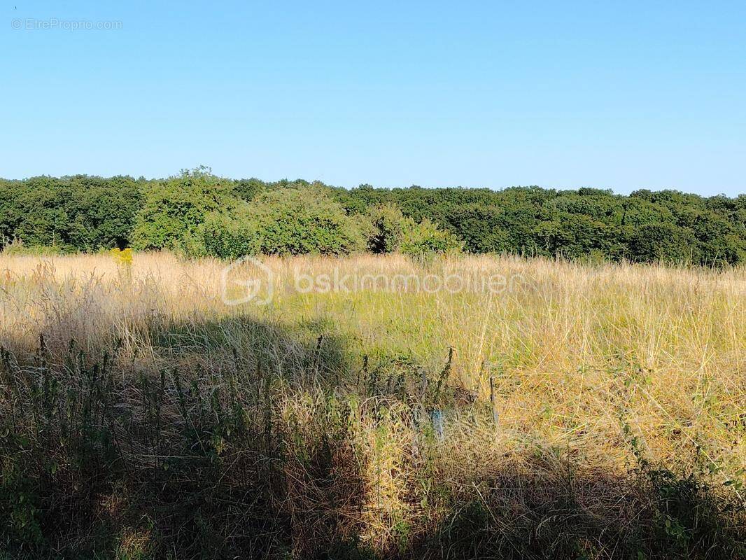 Terrain à CHATEAU-RENAULT