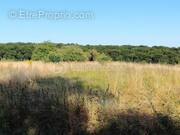 Terrain à CHATEAU-RENAULT