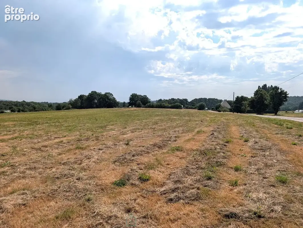 Propriété sur 27 hectares, maison 179 m2, bâtiments de 700 m2 salle de réception et 600 m2 garage - photo 23