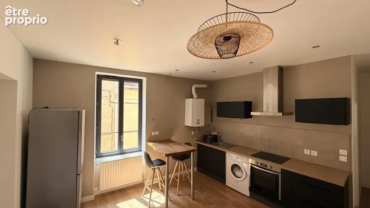 Appartement Saint Etienne 3 pièce(s) 45 m2 - photo 2