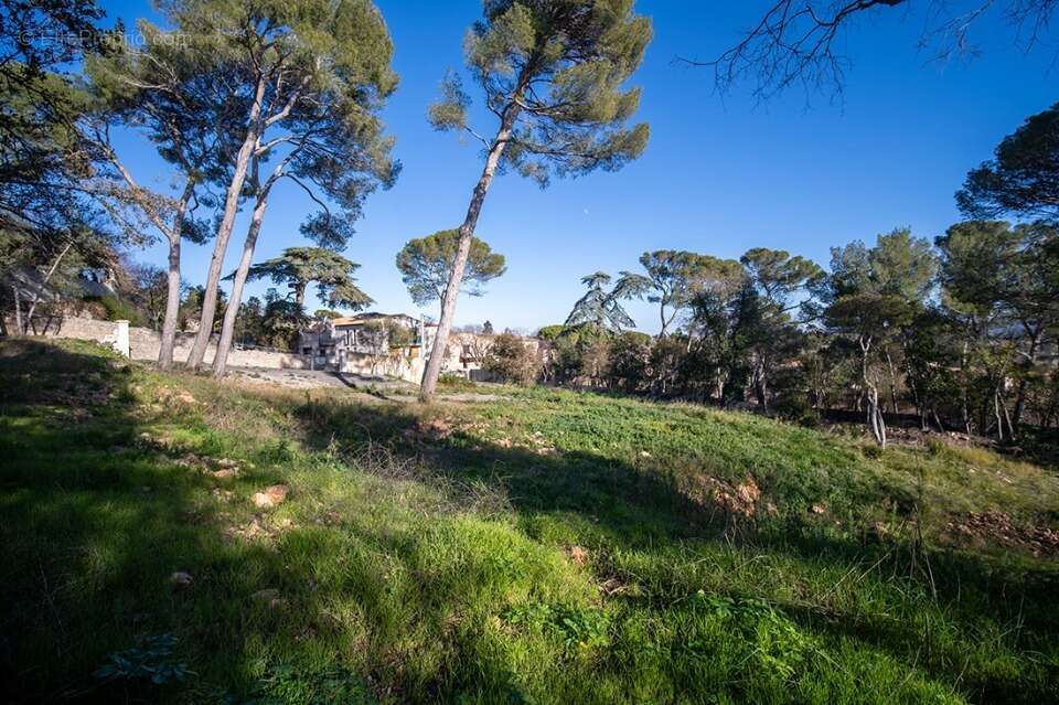 Terrain 900 m² à Cournonsec  - photo 2