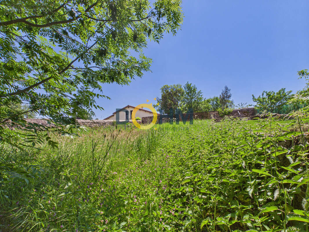 Autre à SAINT-PAL-DE-CHALENCON