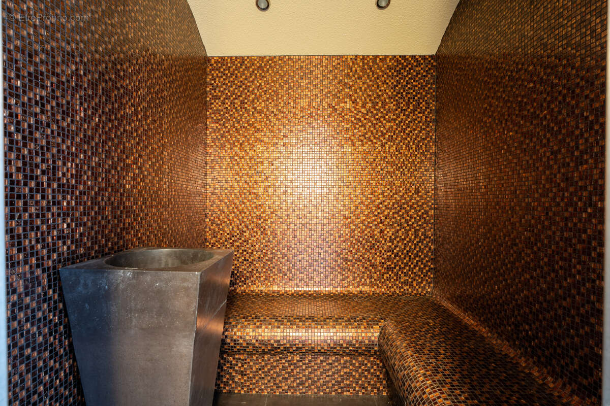 Maison à PREVESSIN-MOENS