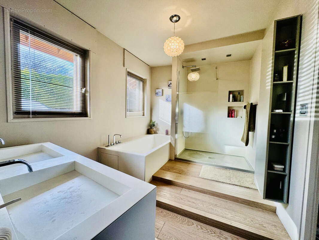 sdb (2) - Maison à VETRAZ-MONTHOUX