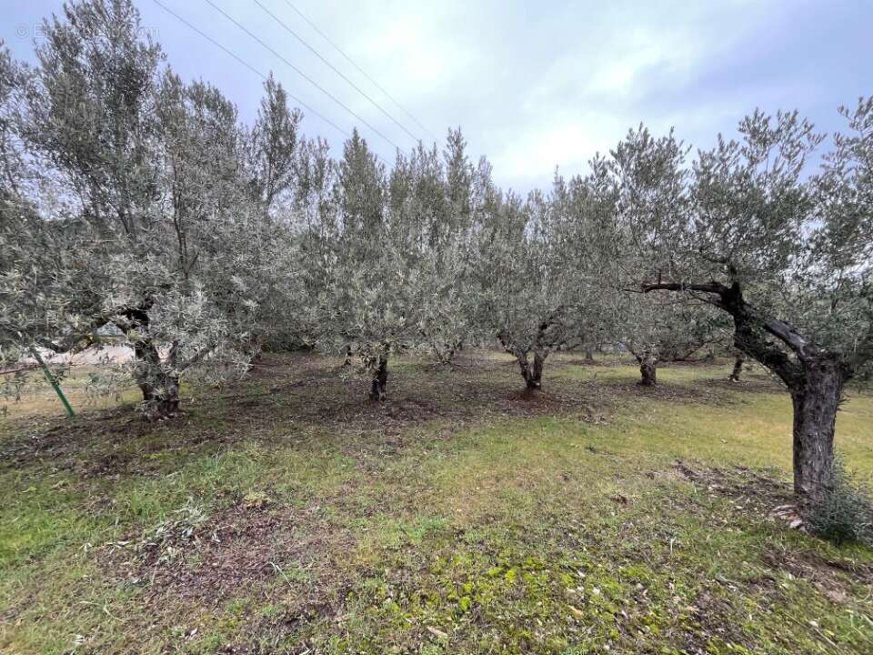 Terrain à MANOSQUE