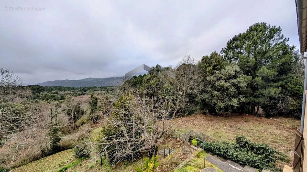 Appartement à ZONZA