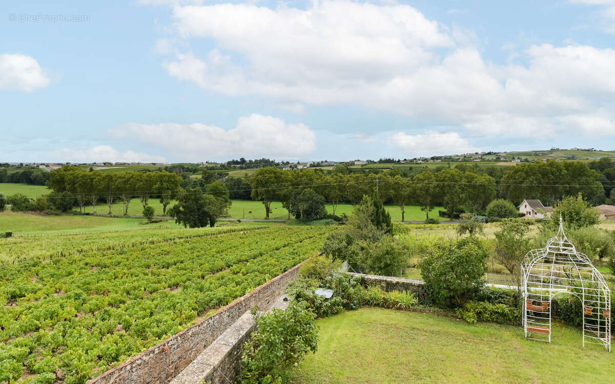 Maison à VILLEFRANCHE-SUR-SAONE