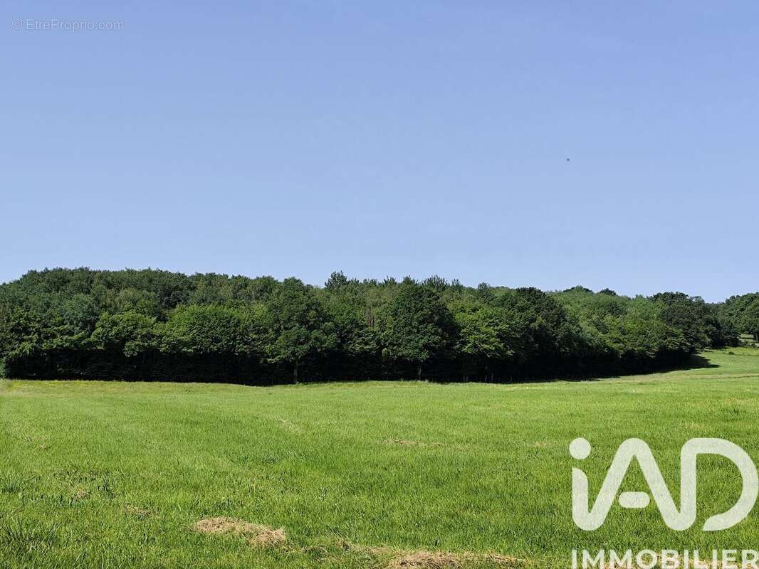 Terrain 82500 m² à Chateauneuf-Val-De-Bargis  - photo 2