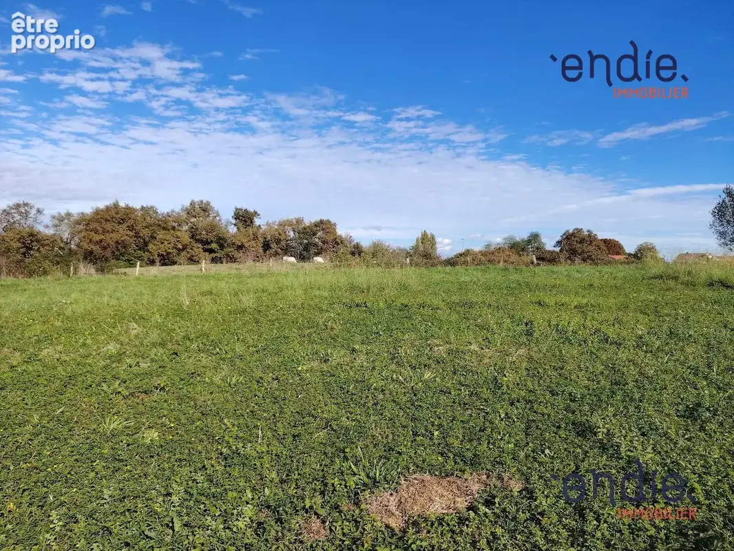 Terrain 1 126 m² à vendre à Poudenx (40700) - photo 1