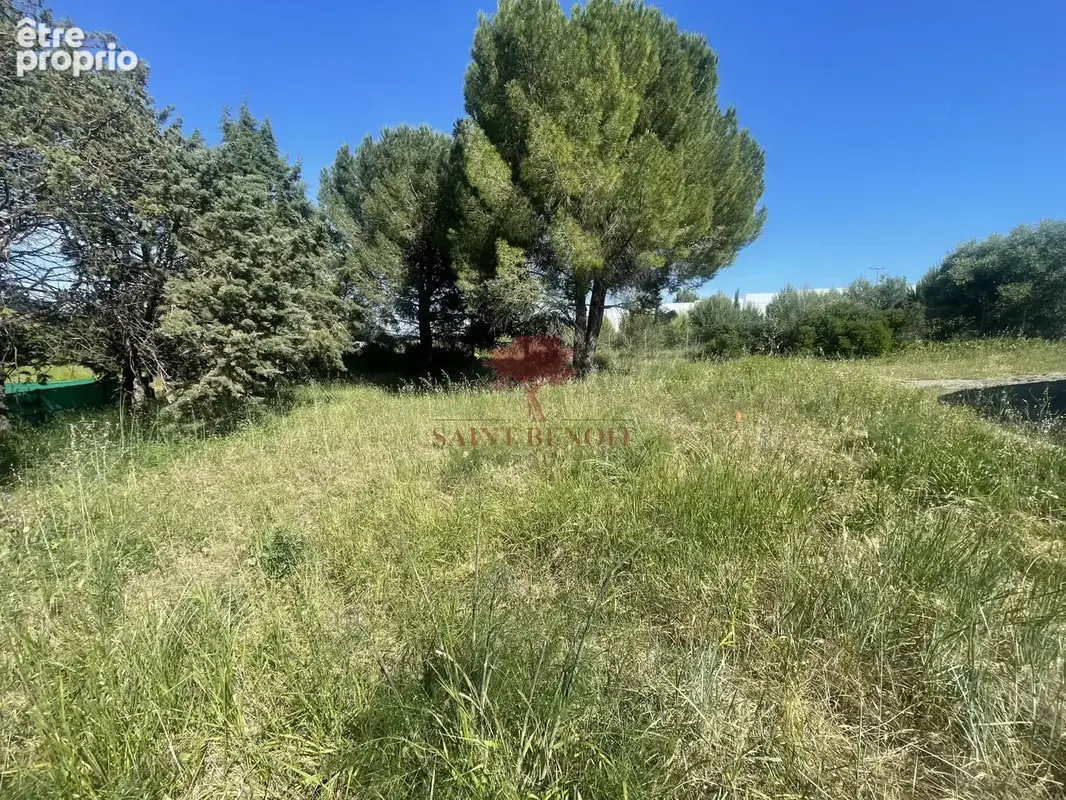 Saint-jean-de-vedas . villa de plain pied de type t5 de 168m2 avec deux garages et jardin arbore. de 2287 - photo 24