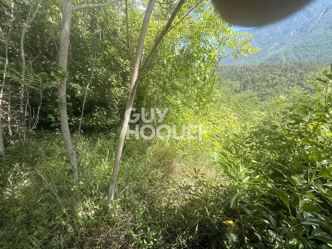 Terrain non constructible - 1 290 m² - Environnement naturel et privilégié - photo 9