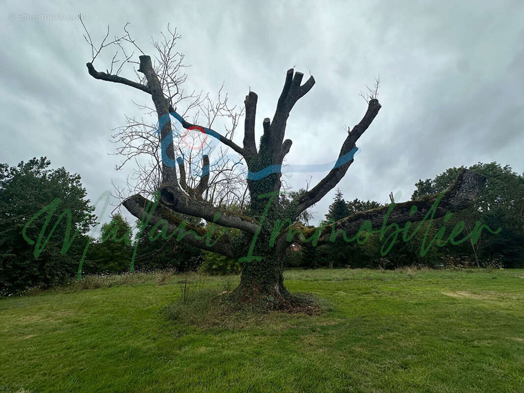 Terrain à PERDREAUVILLE