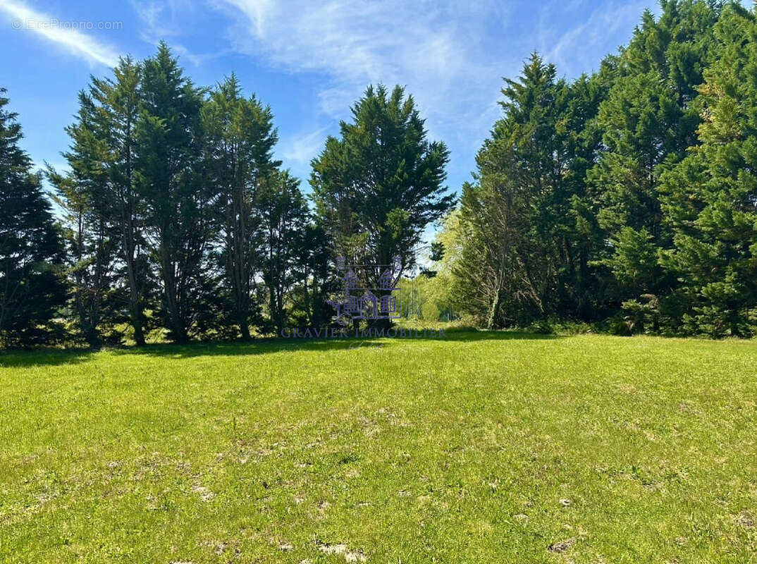 Maison à SAINT-VINCENT-DE-TYROSSE