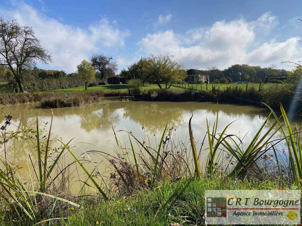 Maison à MOULINS-SUR-OUANNE