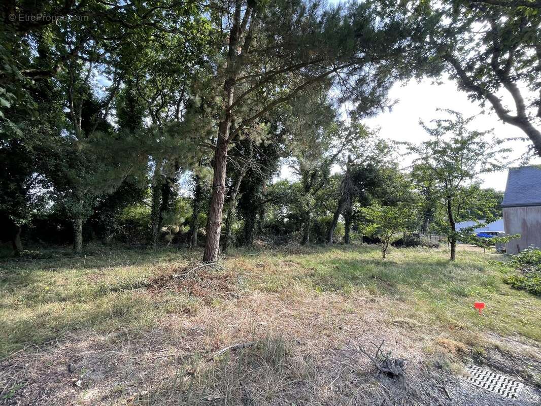 Terrain 569 m² à Sarzeau  - photo 4