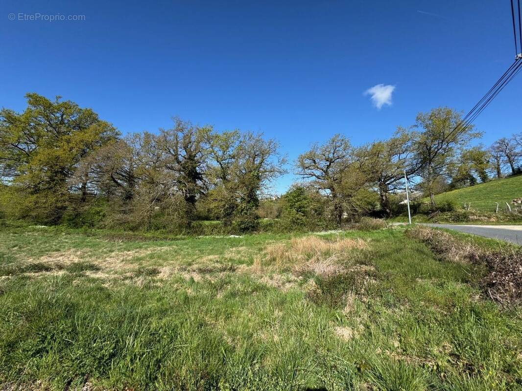 Terrain à MONTROZIER