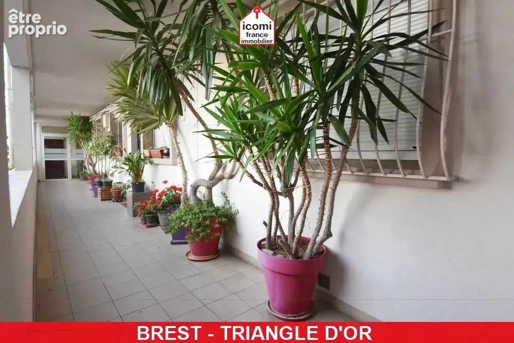 Finistere - brest (29200) - a vendre - appartement duplex de 110 m²- 3 chambres - cave - ascenseur - dalle beton - chauffage ind - photo 10