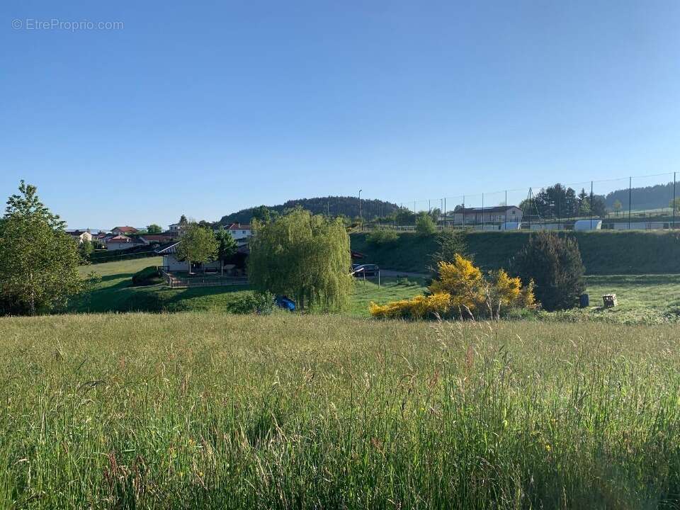 Terrain à LA CHAPELLE-D'AUREC