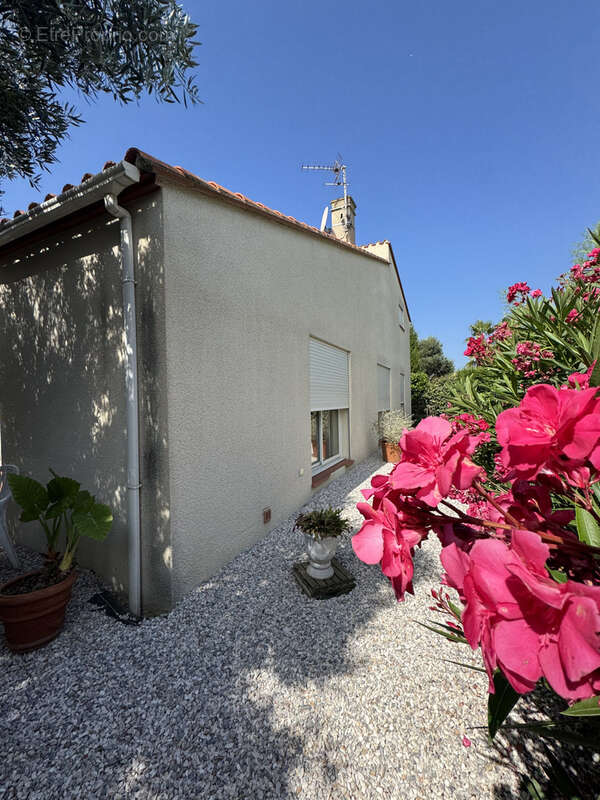 Maison à PERPIGNAN