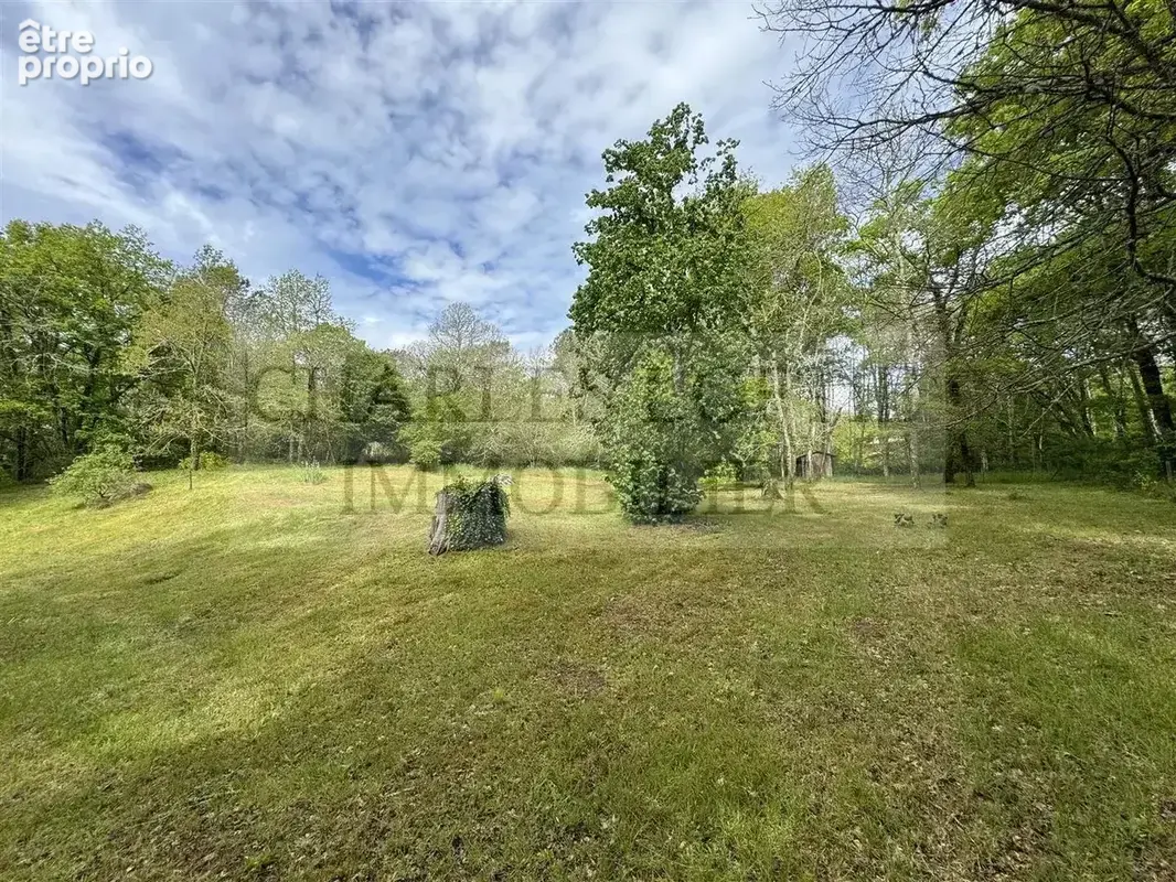 Maison familiale avec garage attenant, sur terrain de plus de 4900 m² - photo 3