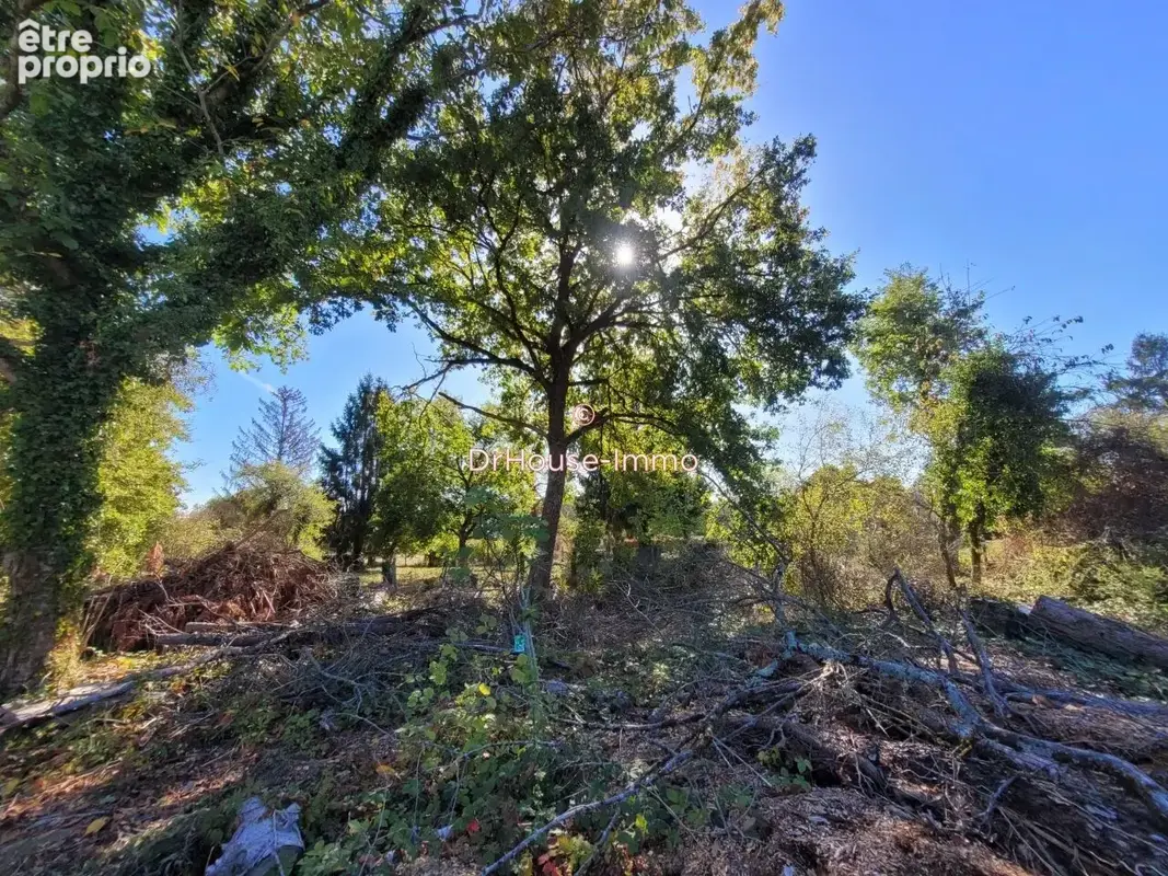 Terrain 1 190 m² à vendre à La Belliole (89150) - photo 3