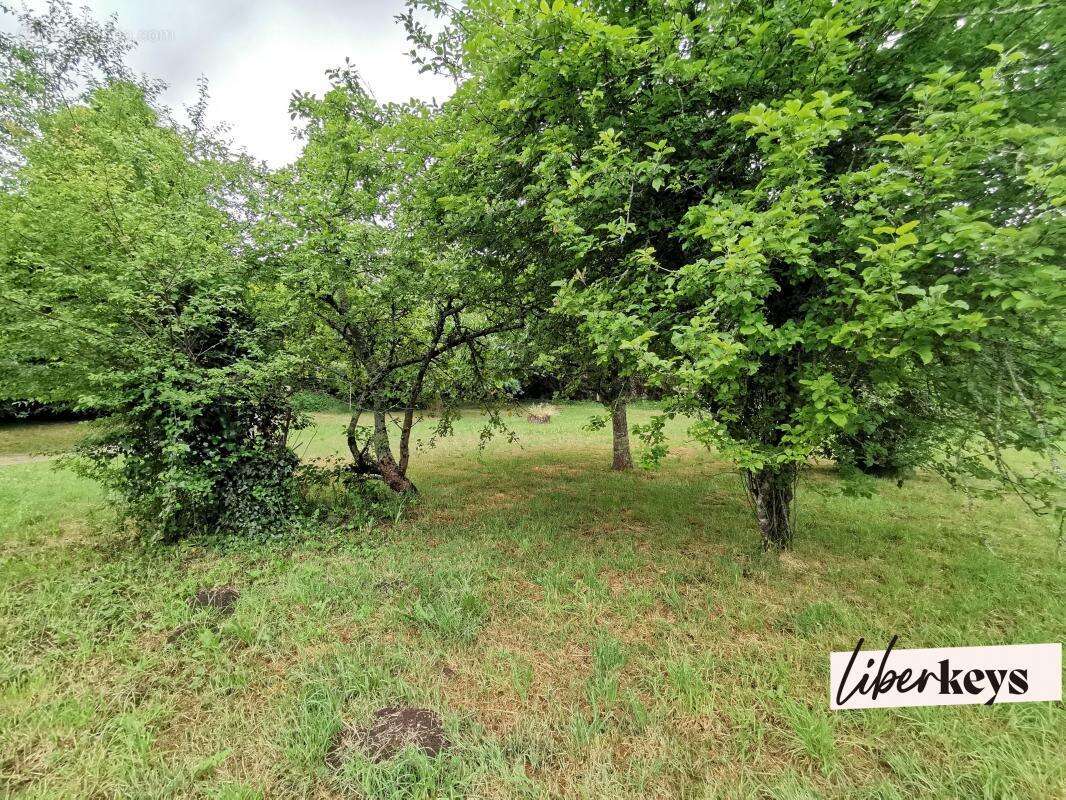 Terrain à PLUGUFFAN