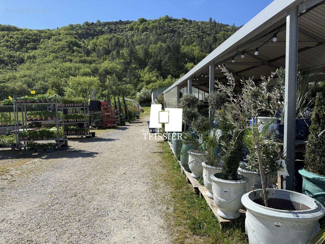 Commerce à LES VANS