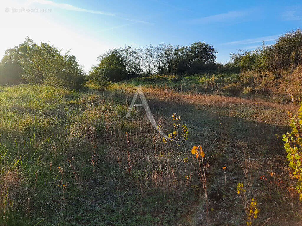 Terrain à MONCLAR-DE-QUERCY