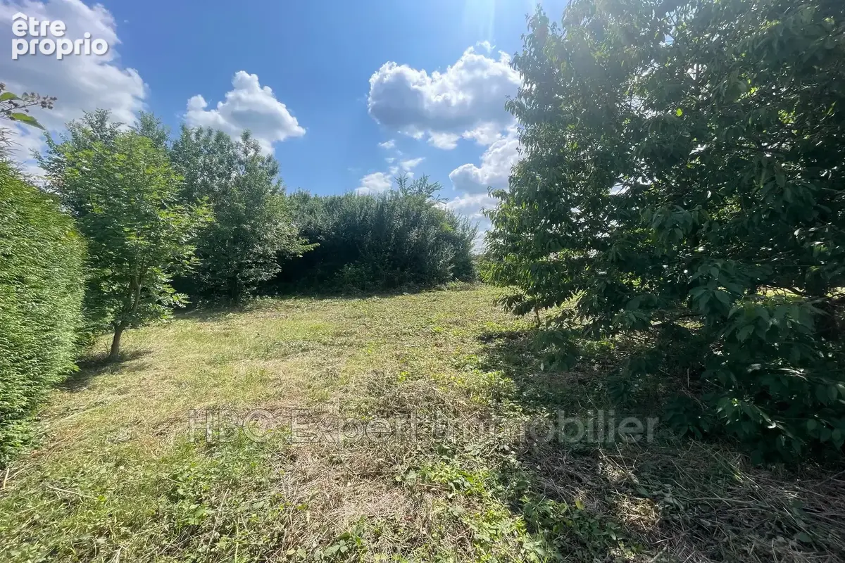 Terrain 917 m² à vendre à Essertaux (80160) - photo 4