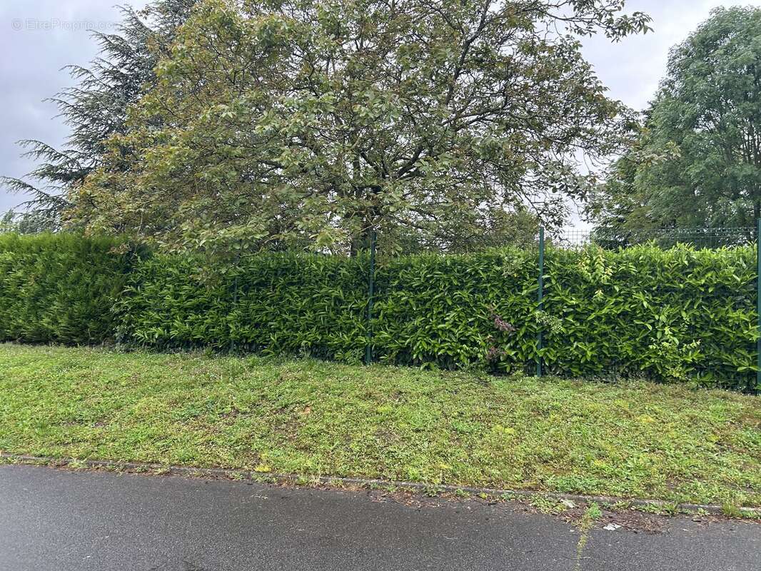 Terrain à FONTENAY-EN-PARISIS