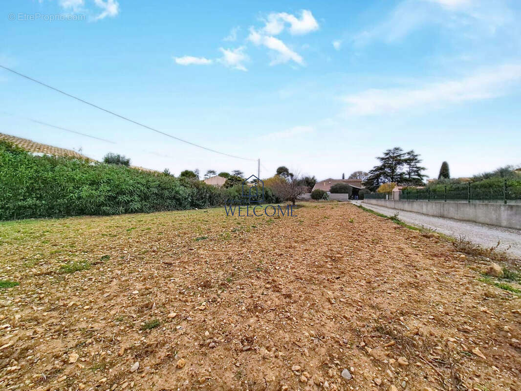 Terrain à SAINT-ANDRE-DE-SANGONIS