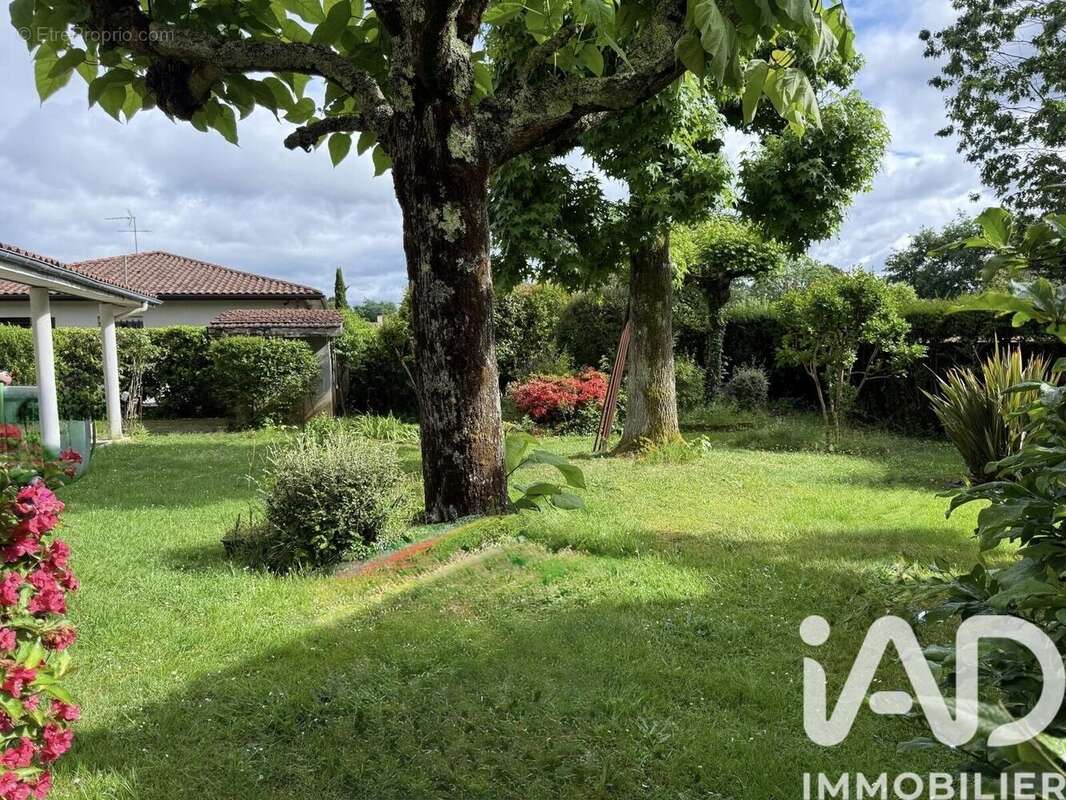 Photo 2 - Maison à PESSAC