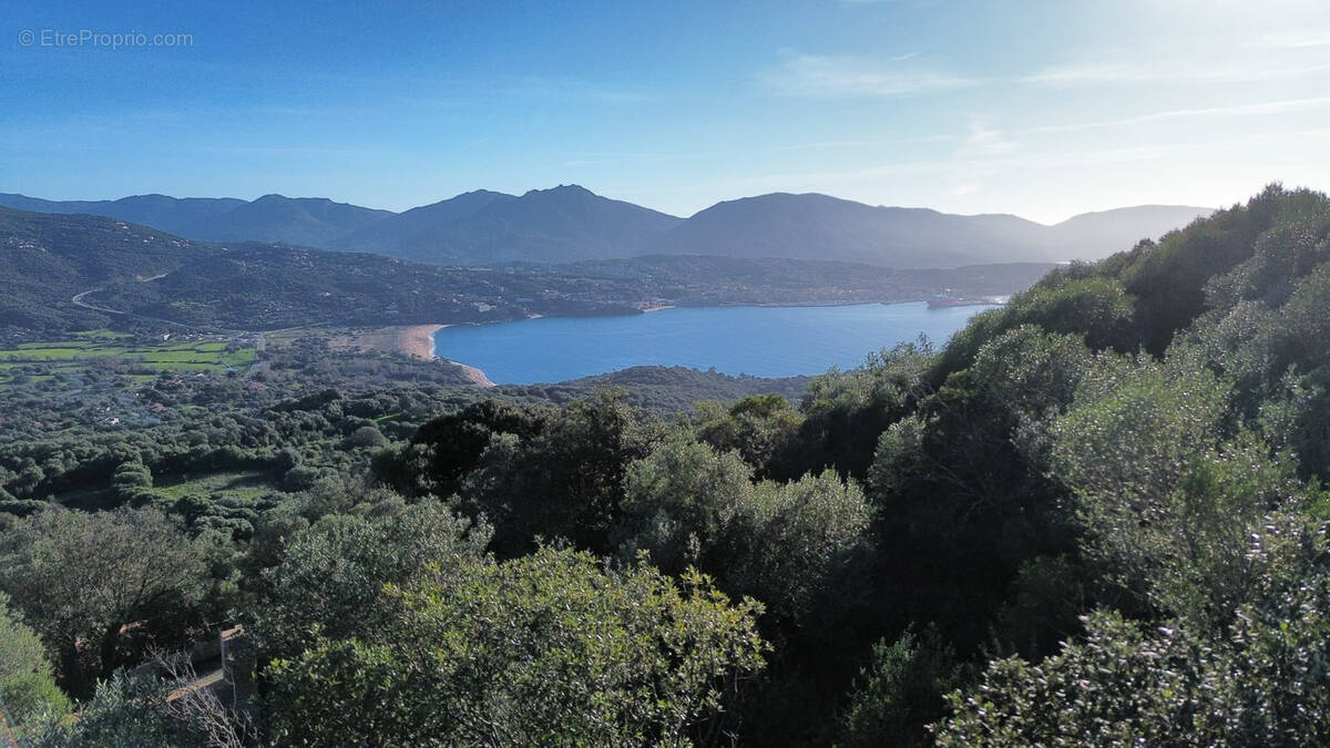 Terrain à OLMETO