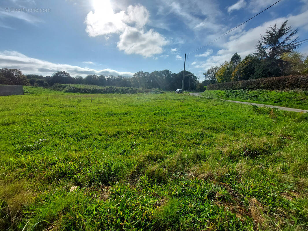 Terrain à LE PERTRE