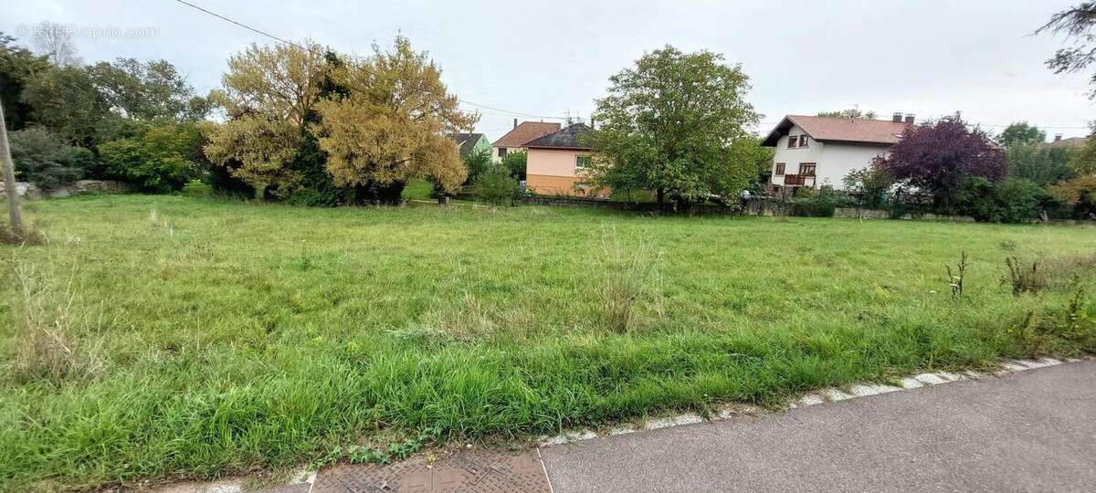 Photo 2 - Terrain à WESTHOFFEN