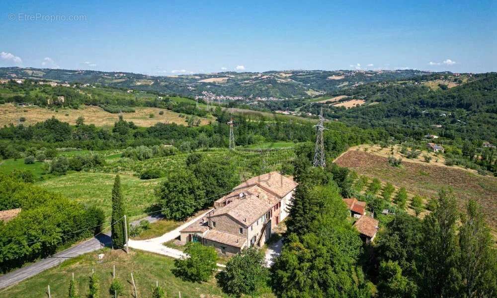 Ferme avec appartements, laboratoire de transformation et boutique à la ferme — Le Marche - photo 11