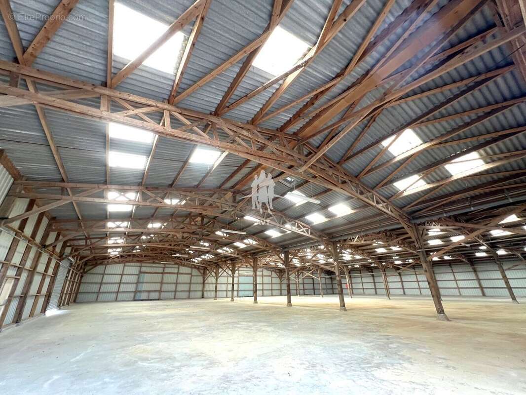 4100 m² à Gaillon  - photo 17