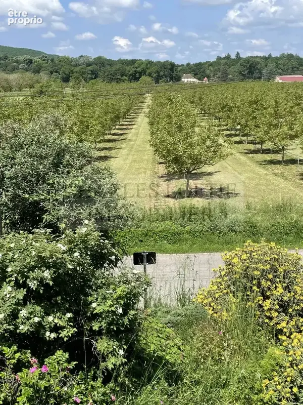 Bel ensemble - corps de ferme avec 3 maisons, un hangar, jardin et verger - photo 30